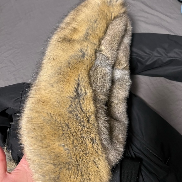 Babaton Chamonix Parka - Picture 3 of 4